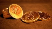 Moneda Maple Leaf de oro