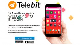 TeleBit