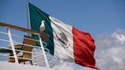 Ave con la bandera de Mexico de fondo